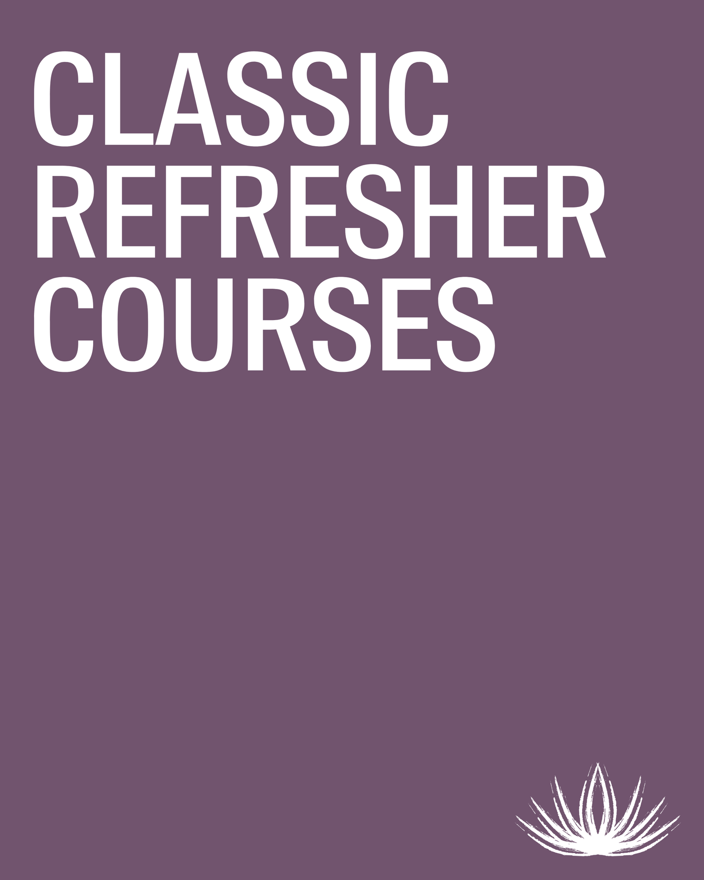 Classic Artistry Refresher Lash Training