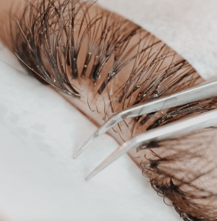 How to Improve the Speed of Your Lash Application