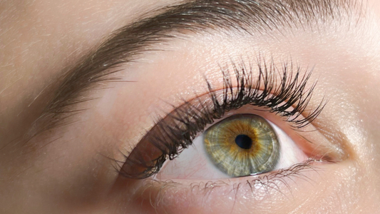 Classic Eyelash Extensions: Enhance Your Client's Natural Beauty